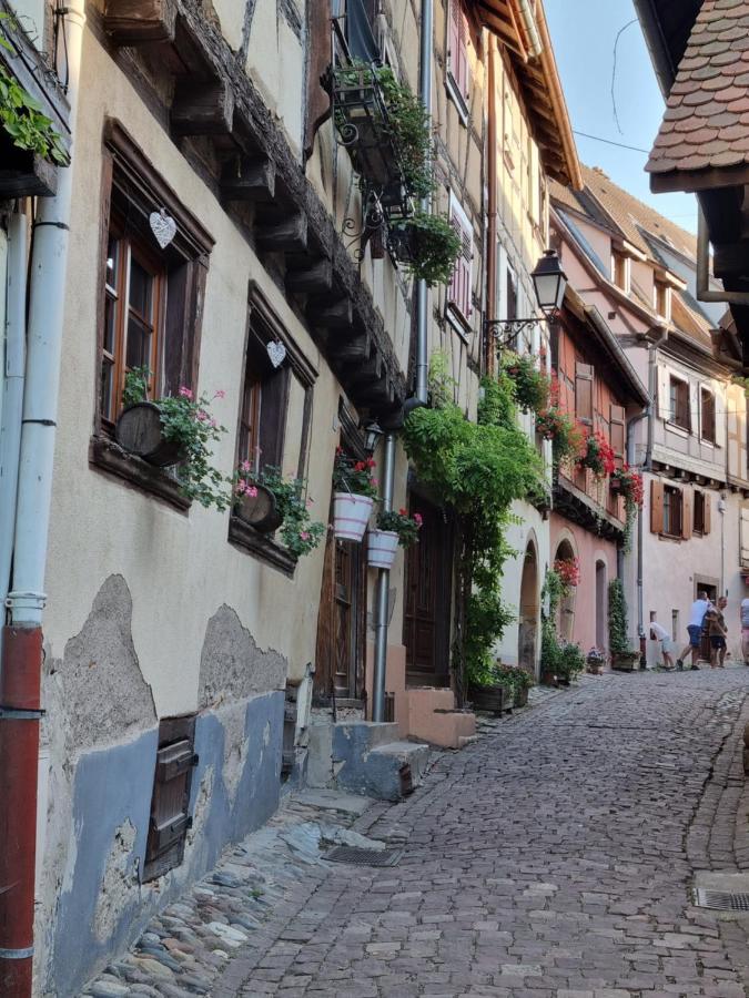 L'Ourson Apartment Colmar Exterior photo