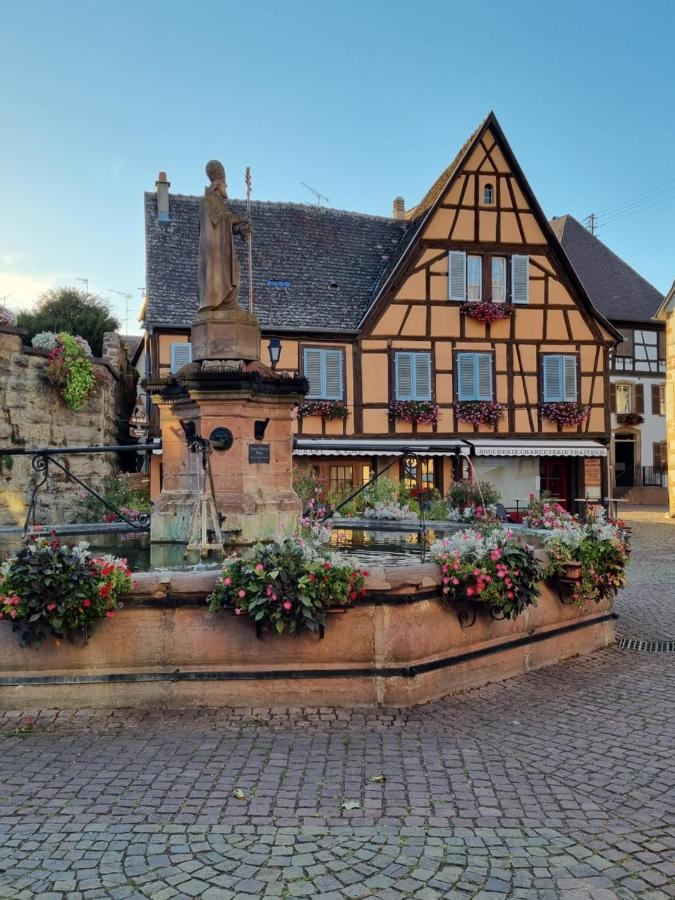 L'Ourson Apartment Colmar Exterior photo